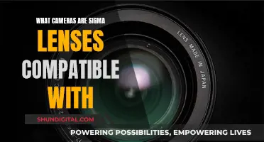 Sigma Lenses: Compatibility Across Camera Brands