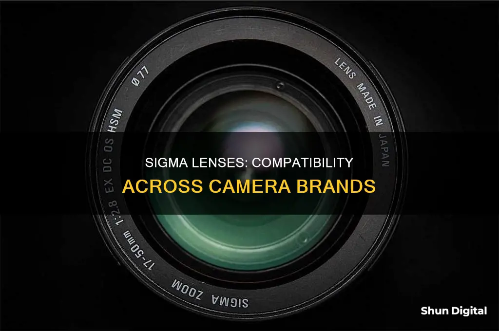 what cameras are sigma lenses compatible with