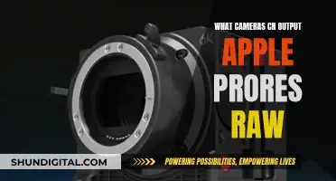 Best Cameras for Apple ProRes RAW Output