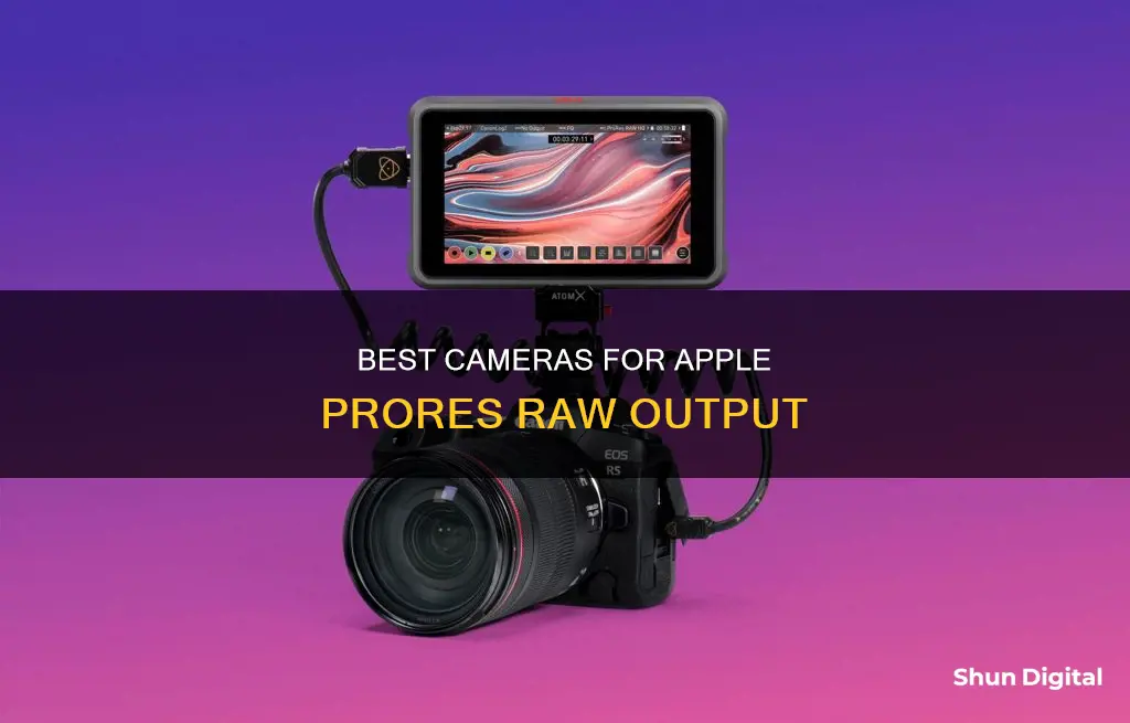 what cameras cn output apple prores raw