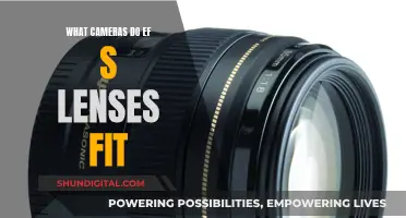 EF-S Lenses: Compatible Canon Cameras for Beginners