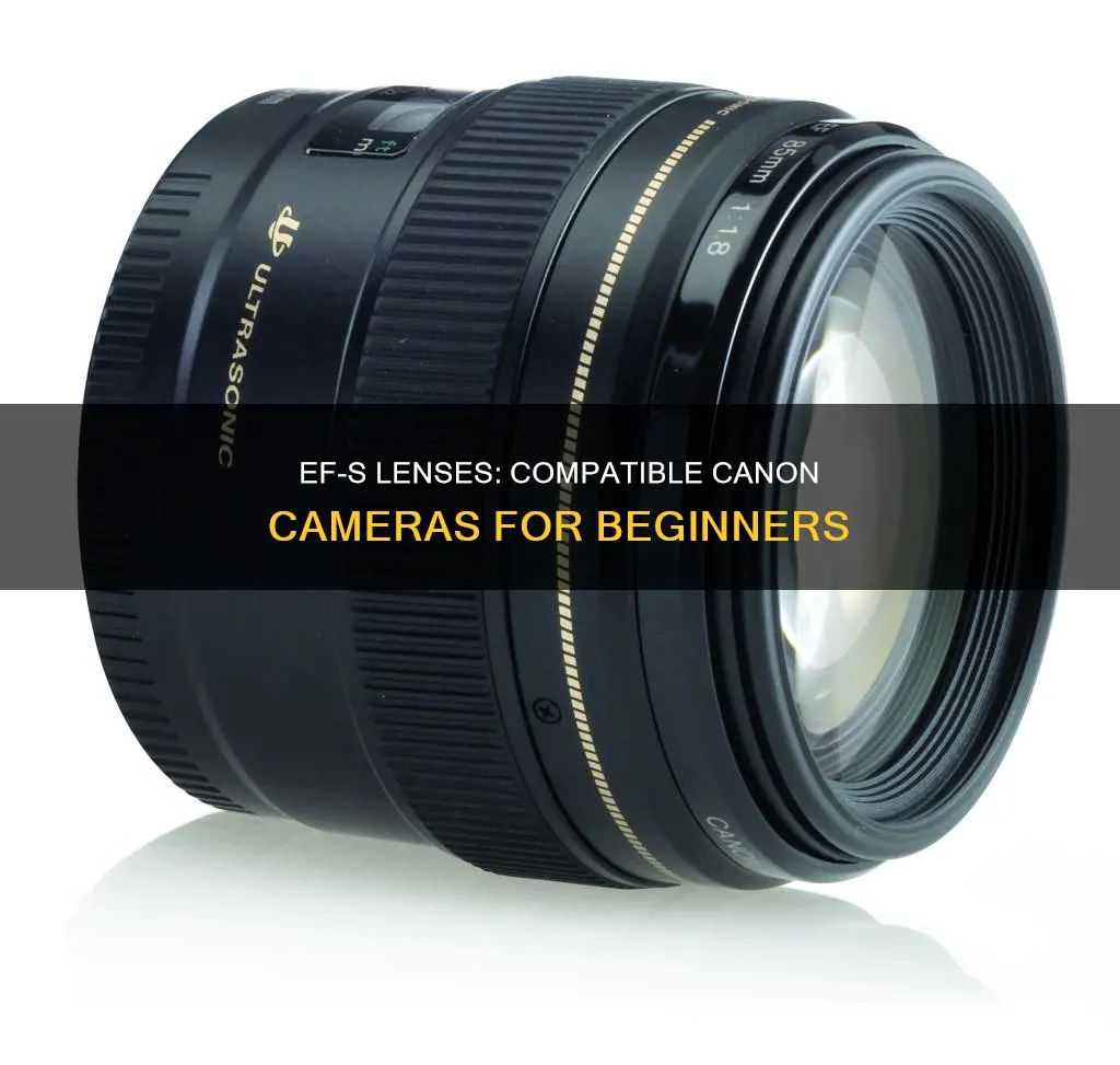 what cameras do ef s lenses fit