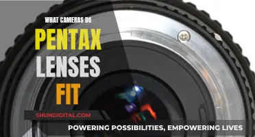 Pentax Lenses: Compatible Cameras for Your Photography Needs