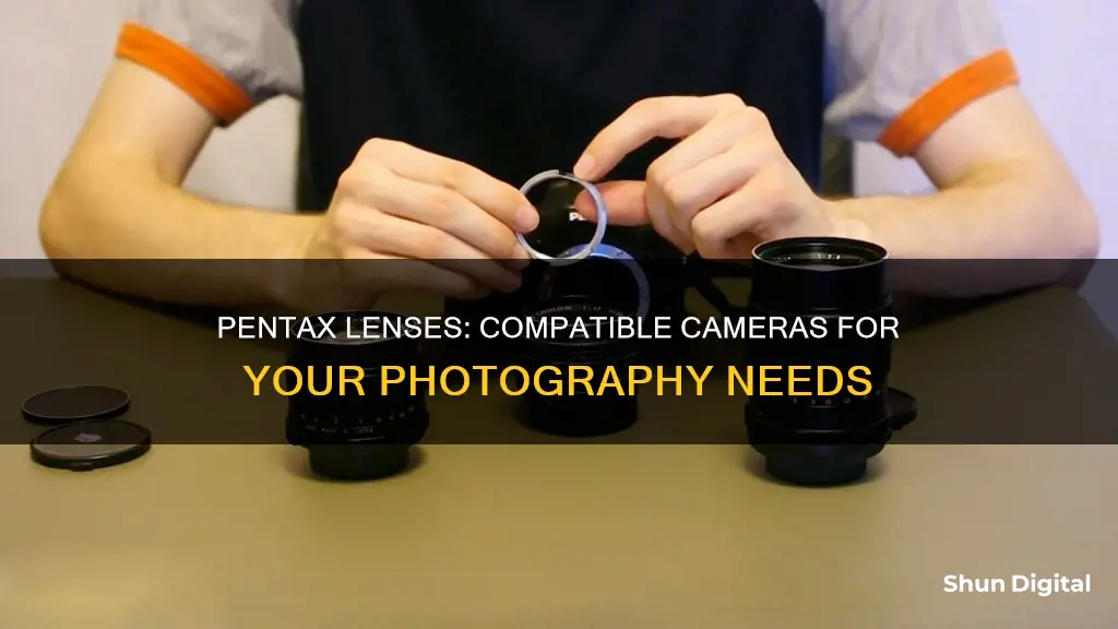 what cameras do pentax lenses fit