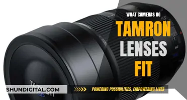 Tamron Lenses: Compatible Camera Guide for Photographers