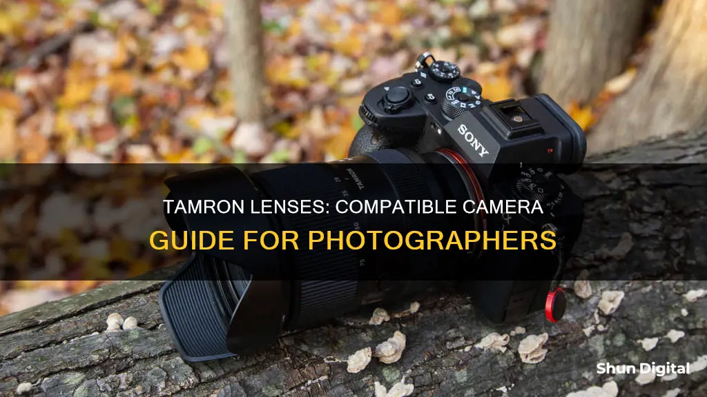 what cameras do tamron lenses fit