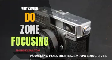 Best Cameras for Zone Focusing Techniques