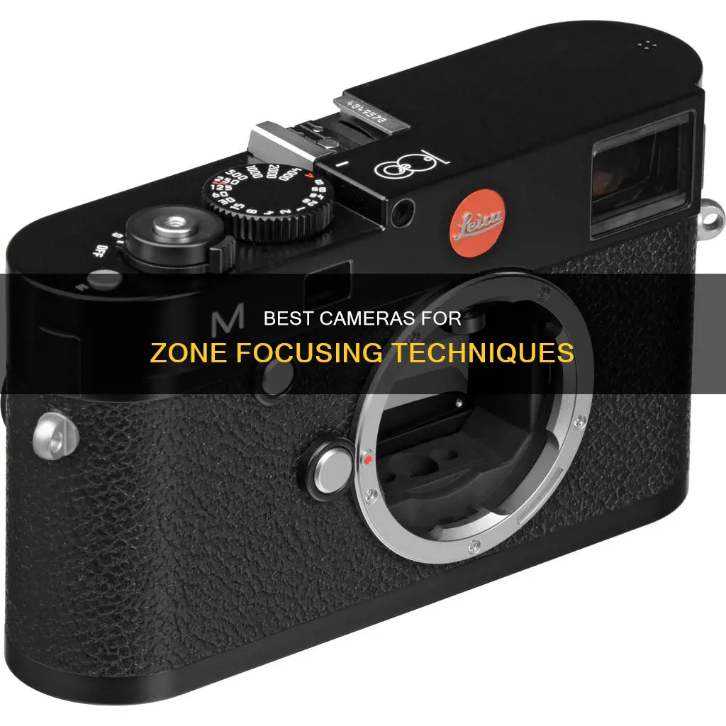 what cameras do zone focusing