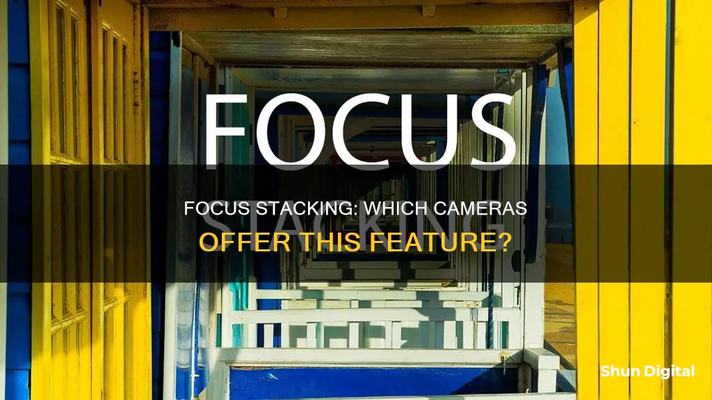 what cameras have focus stacking