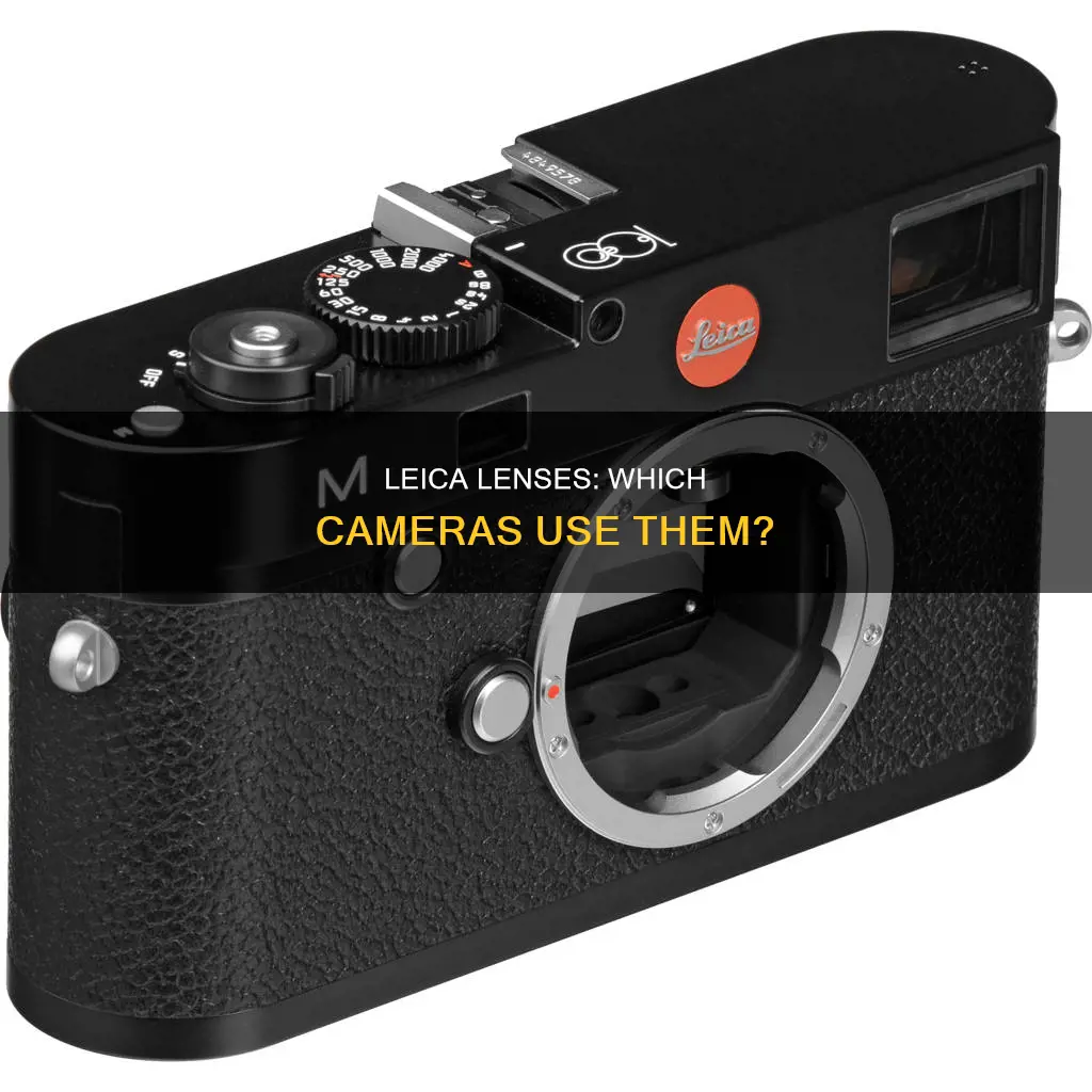 what cameras have leica lenses