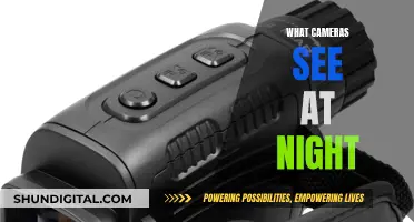 The Night Vision: What Cameras See After Dark