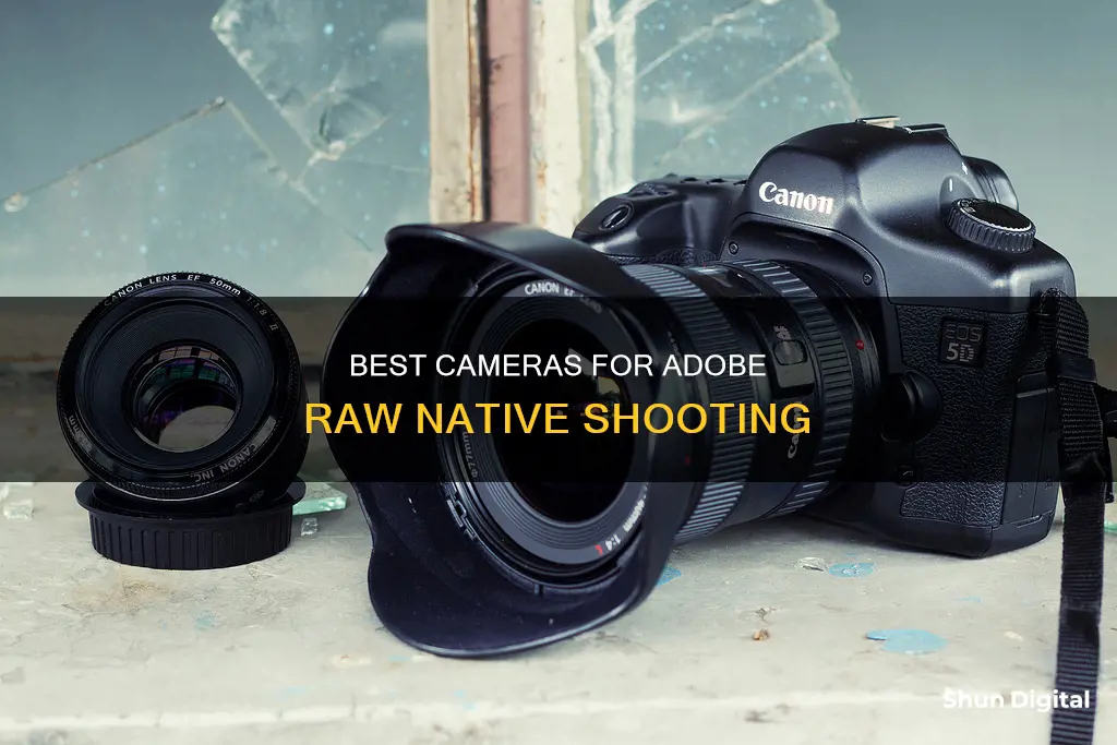 what cameras shoot adobe raw native