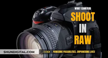 Best Cameras for RAW Photography: Unlocking the Power