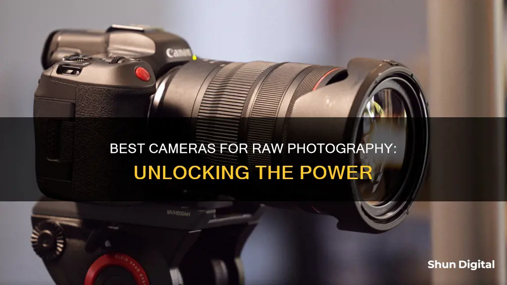 what cameras shoot in raw