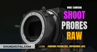 Best Cameras for ProRes RAW Footage