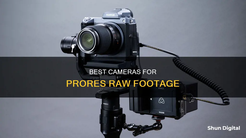 what cameras shoot prores raw