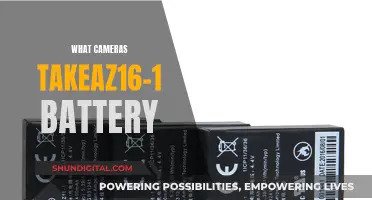 Best Cameras Compatible with the AZ16-1 Battery