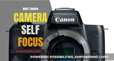 Canon Cameras: Self-Focusing Mastery