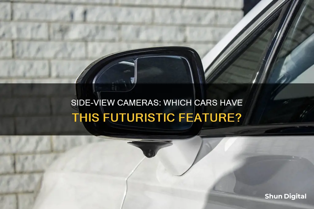 what car has cameras for side mirrors