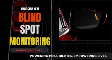 Blind Spot Monitoring: Which Cars Have This Feature?