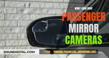 Passenger Mirror Cameras: Which Cars Have This Feature?