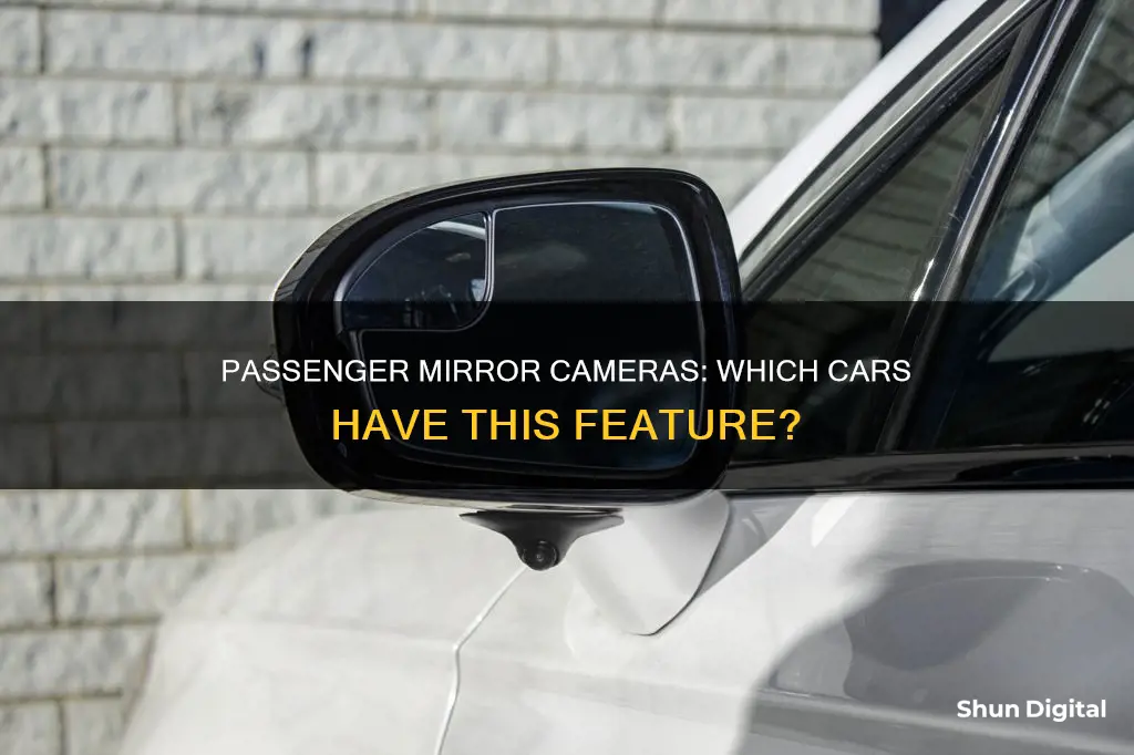 what cars have passenger mirror cameras