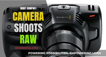 Best Compact Cameras for RAW Photography Enthusiasts