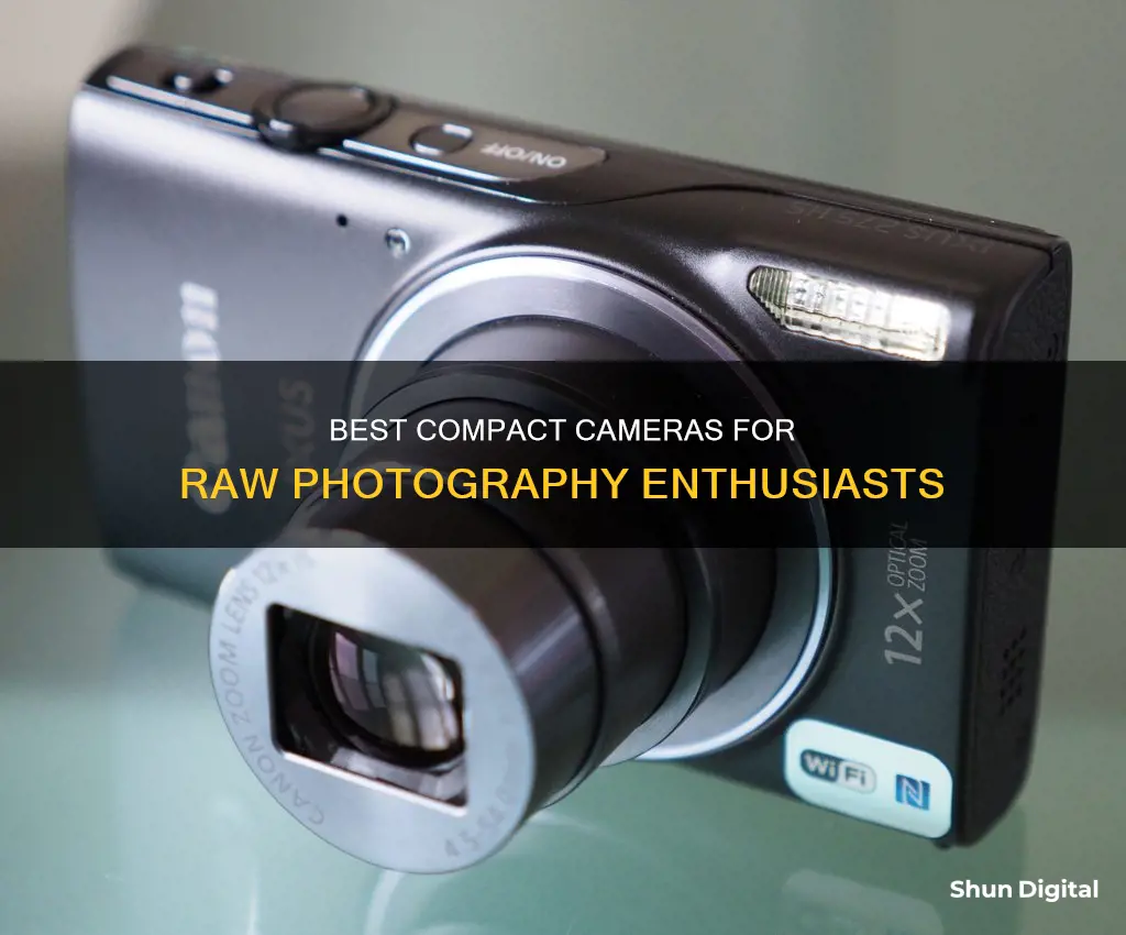 what compact camera shoots raw