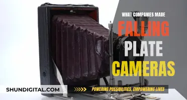 Who Manufactured Falling Plate Cameras?