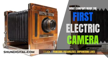 Who Created the First Electric Camera?