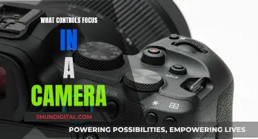 How Camera Focus Works: Mastering Sharp Images