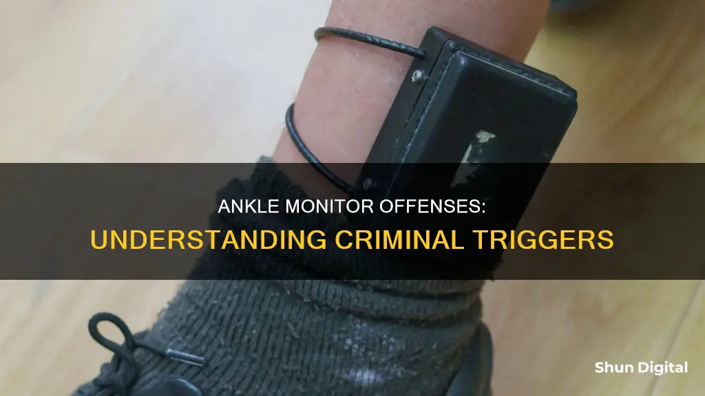 what crimes give you an ankle monitor