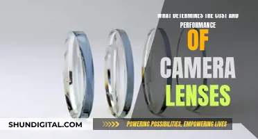 Lens Quality: Cost and Performance Factors