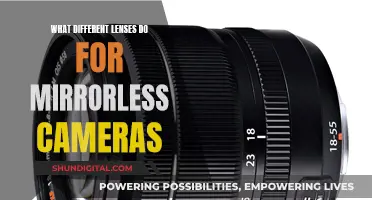 Unlocking Creative Photography with Mirrorless Camera Lenses