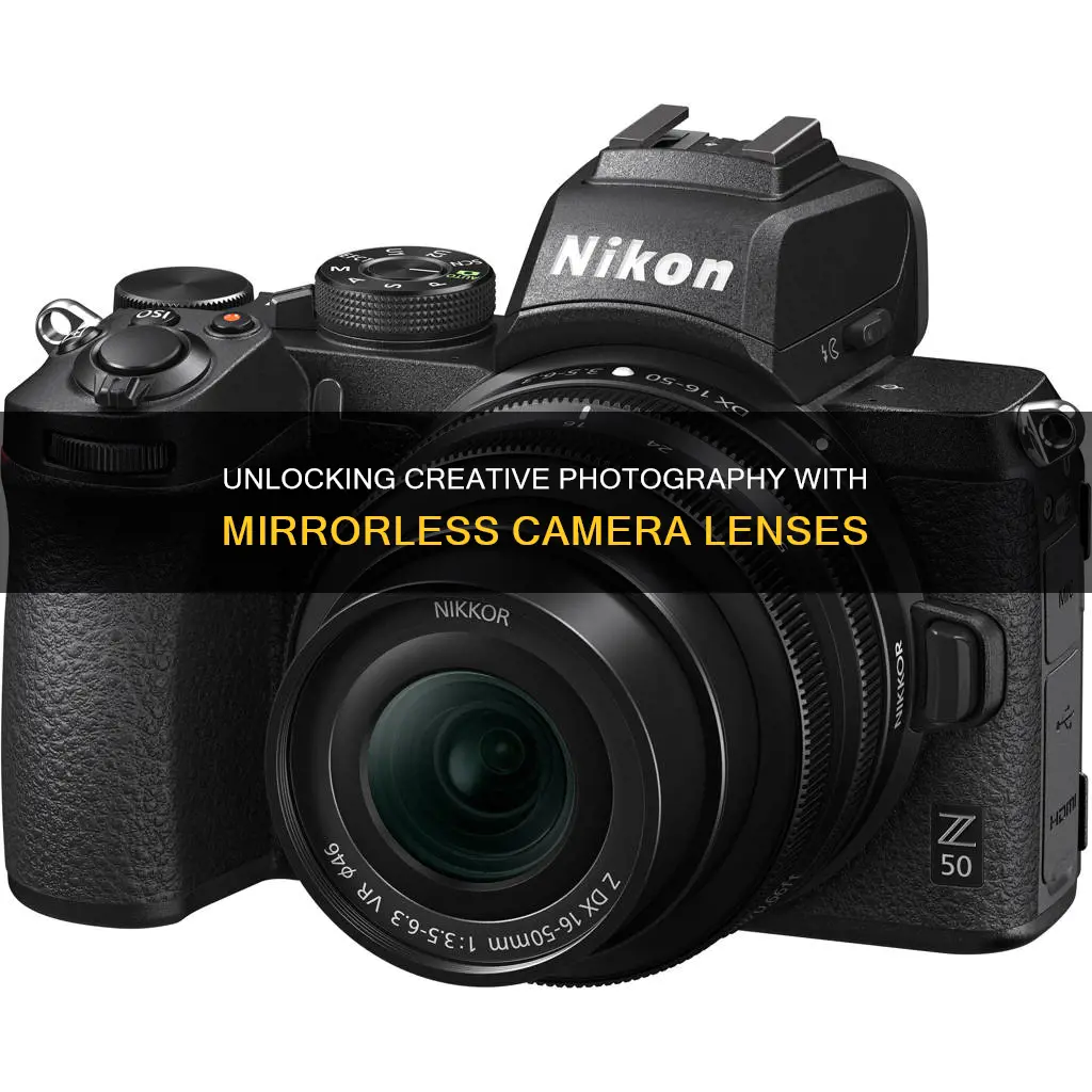 what different lenses do for mirrorless cameras