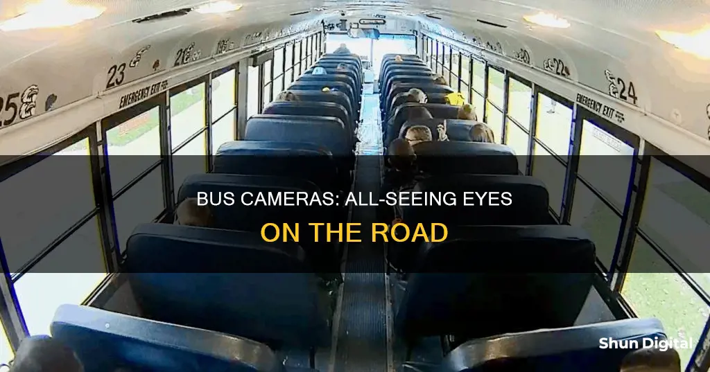 what do bus cameras see