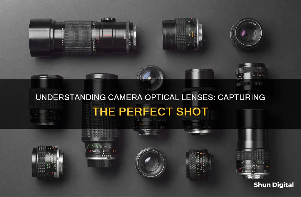 what do camera optical lenses do