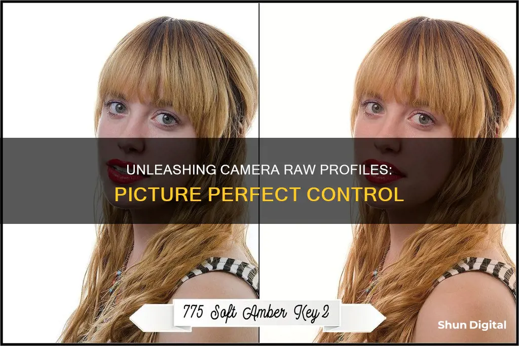 what do camera raw camera profiles do