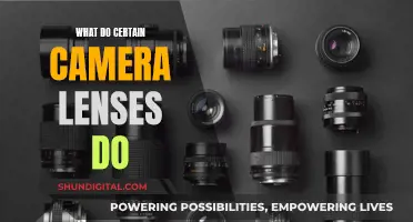 Understanding Camera Lenses: Capturing Unique Perspectives