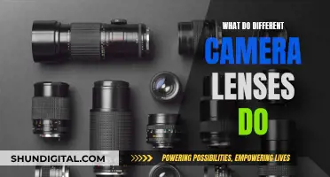 Lenses Unlocked: Capturing Unique Perspectives and Effects