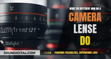 Understanding Camera Lenses: The Impact of Different Millimeter Sizes