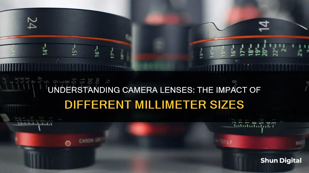 what do different mm on a camera lense do