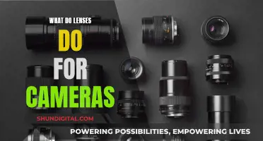 How Lenses Transform Your Camera's Vision