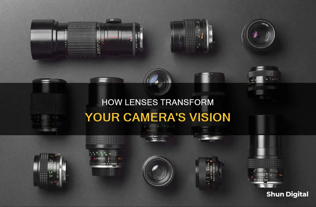 what do lenses do for cameras