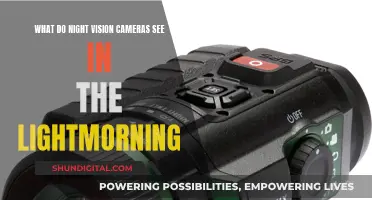 How Night Vision Cameras Capture the Early Morning