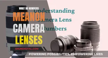 Understanding Camera Lenses: Decoding Focal Length Numbers