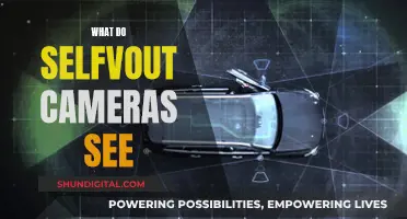 Self-Driving Cars: What Do Their Cameras Actually See?