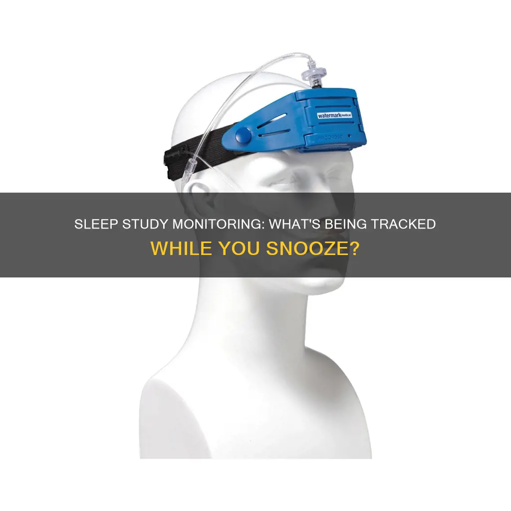 what do sleep study monitor