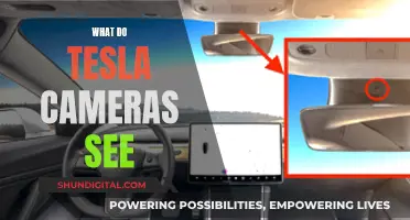 Tesla Cameras: Unveiling Their Vision and Secrets