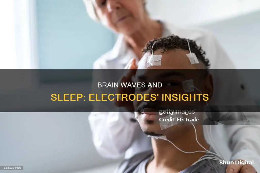 what do the electrodes monitor during a sleep study